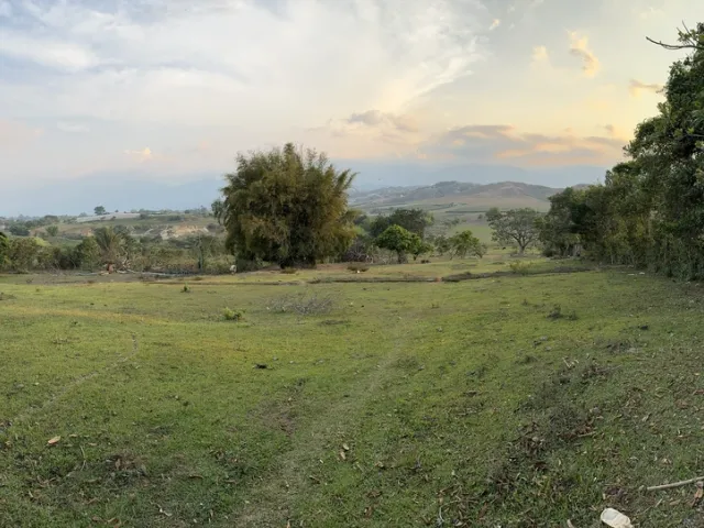 Lotes en venta en Urbanización San Alejo, Sector Estadio, Ábrego