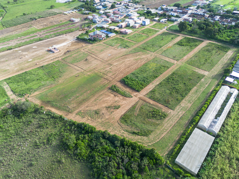 pinuela-losprados2 campanario